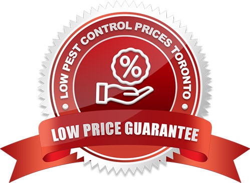 Low Price Guarantee Pest Control Toronto