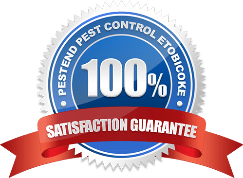 100% Satisfaction Guarantee Pest Control Etobicoke