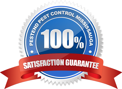 100% Satisfaction Guarantee Pest Control Mississauga