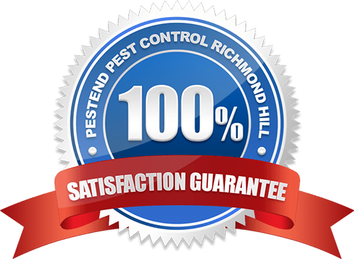 100% Satisfaction Guarantee Pest Control Richmond Hill