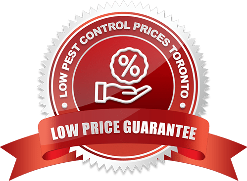 Low Price Guarantee Residential Pest Control Toronto