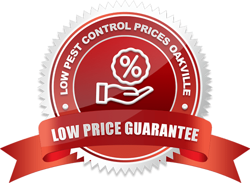 Lowest Prices Pest Control Oakville