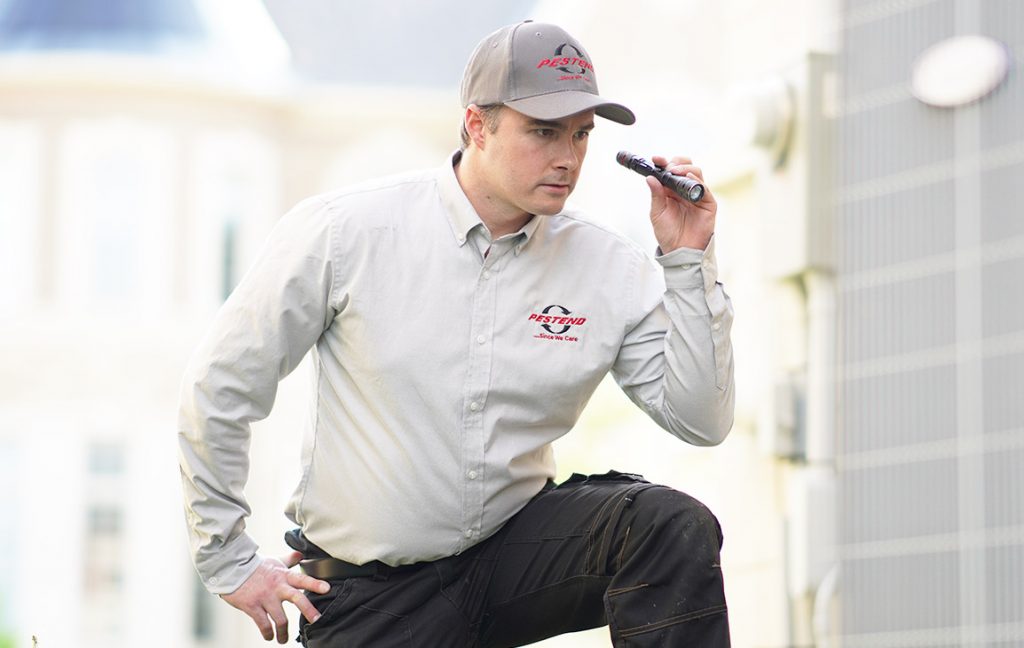 Pest Control Services Barrie