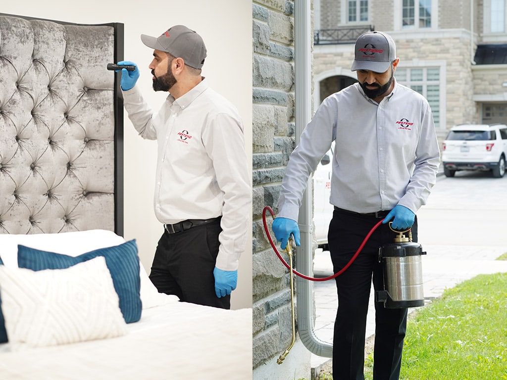 Woodbridge Bed Bug Pest Control & Ant Control When You Need It