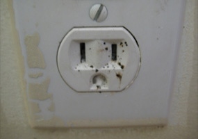 Bed Bug Power Outlet