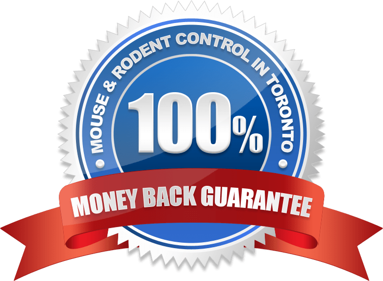 Rodent Control Money Back Guarantee