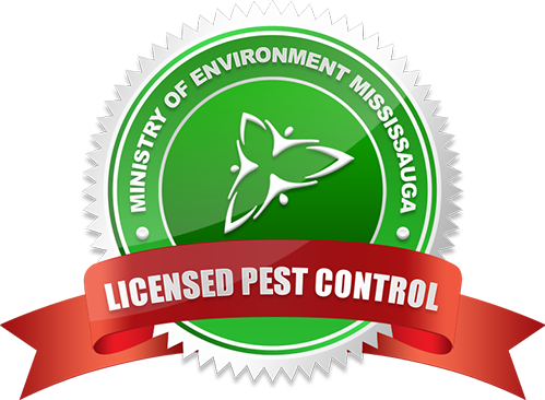 Licensed Pest Control Ministry Of Environment Mississauga