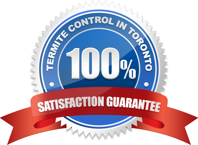 100% Satisfaction Guarantee Termite Control In Toronto