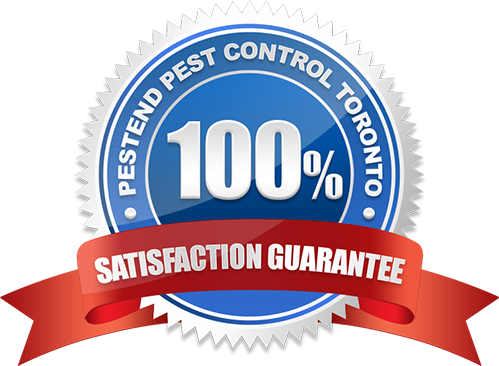 100% Satisfaction Guarantee Restaurant Pest Control Toronto