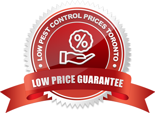 Low Price Guarantee Restaurant Pest Control Toronto